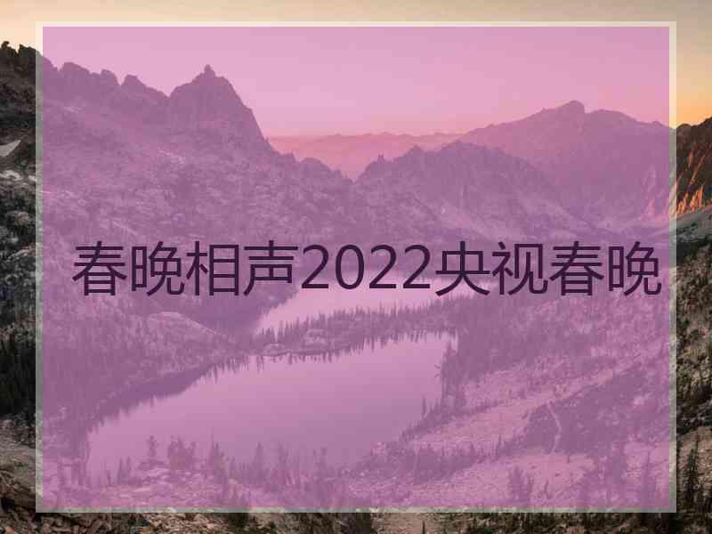 春晚相声2022央视春晚