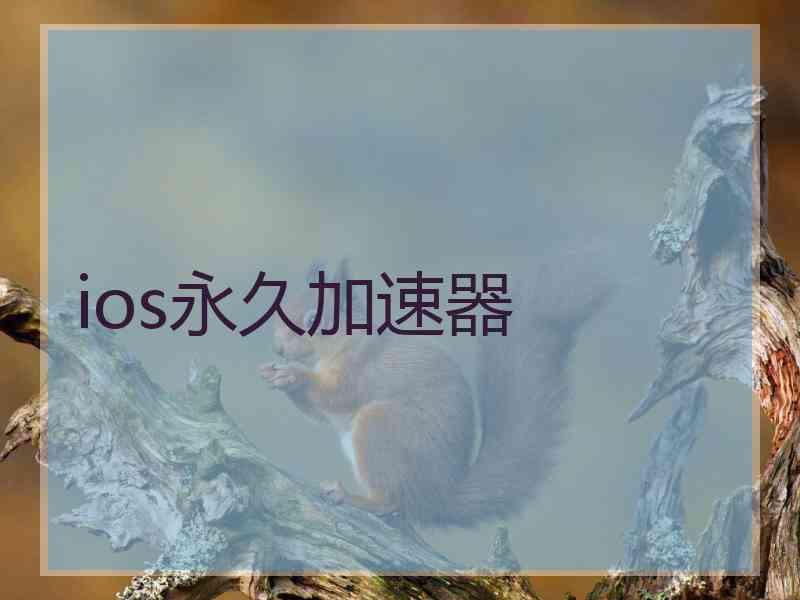 ios永久加速器