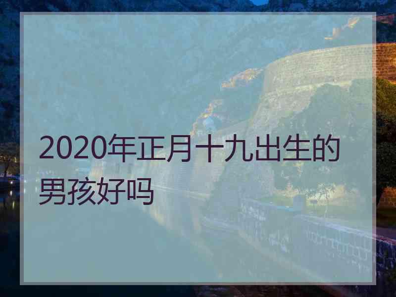 2020年正月十九出生的男孩好吗