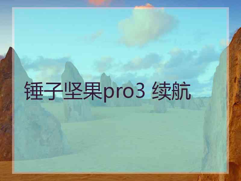 锤子坚果pro3 续航