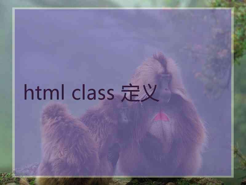 html class 定义