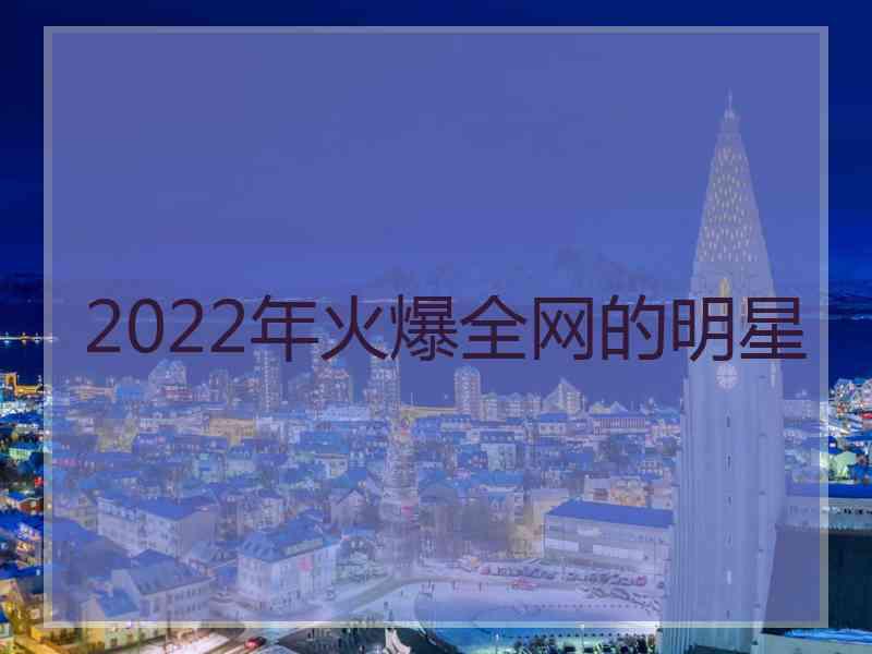 2022年火爆全网的明星