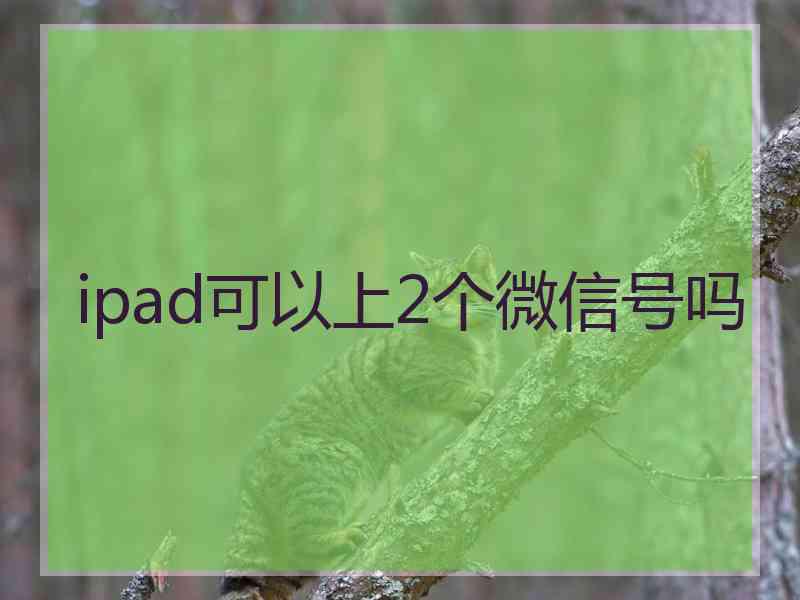 ipad可以上2个微信号吗