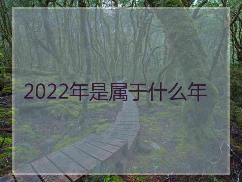 2022年是属于什么年