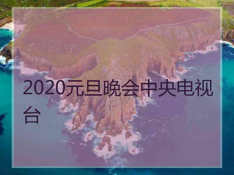 2020元旦晚会中央电视台