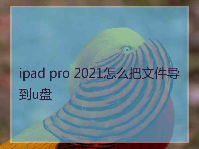 ipad pro 2021怎么把文件导到u盘