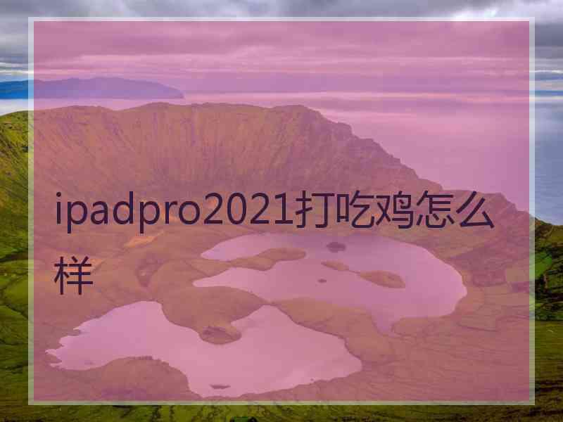 ipadpro2021打吃鸡怎么样