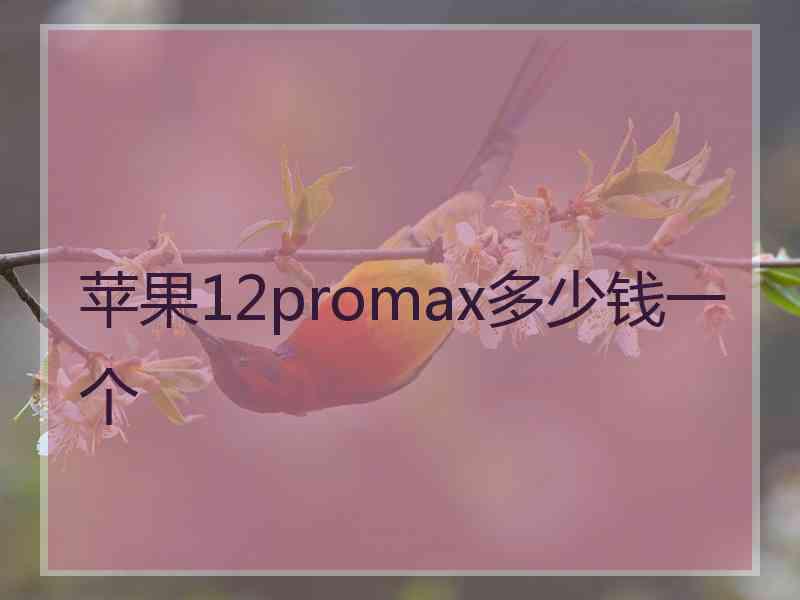 苹果12promax多少钱一个