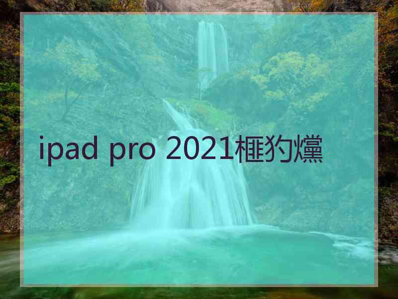 ipad pro 2021榧犳爣