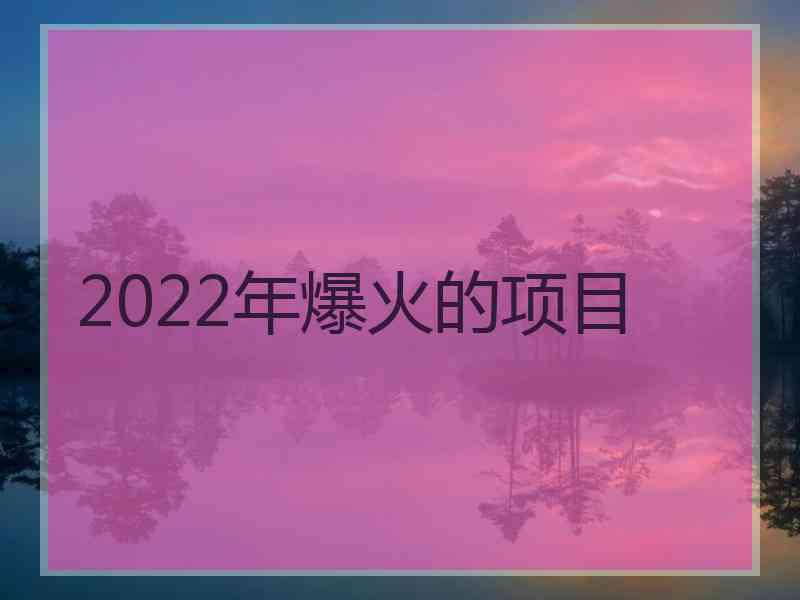 2022年爆火的项目