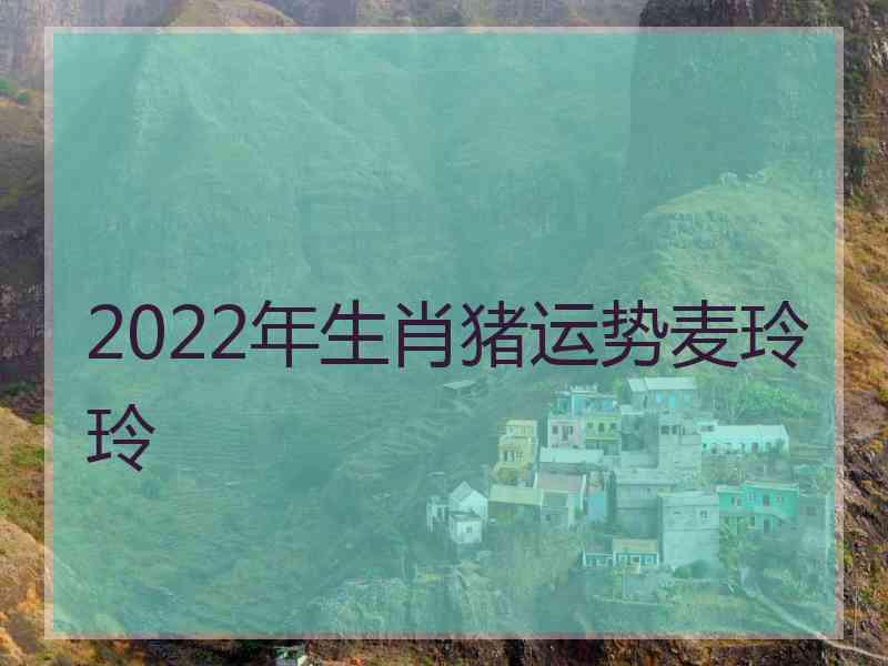 2022年生肖猪运势麦玲玲