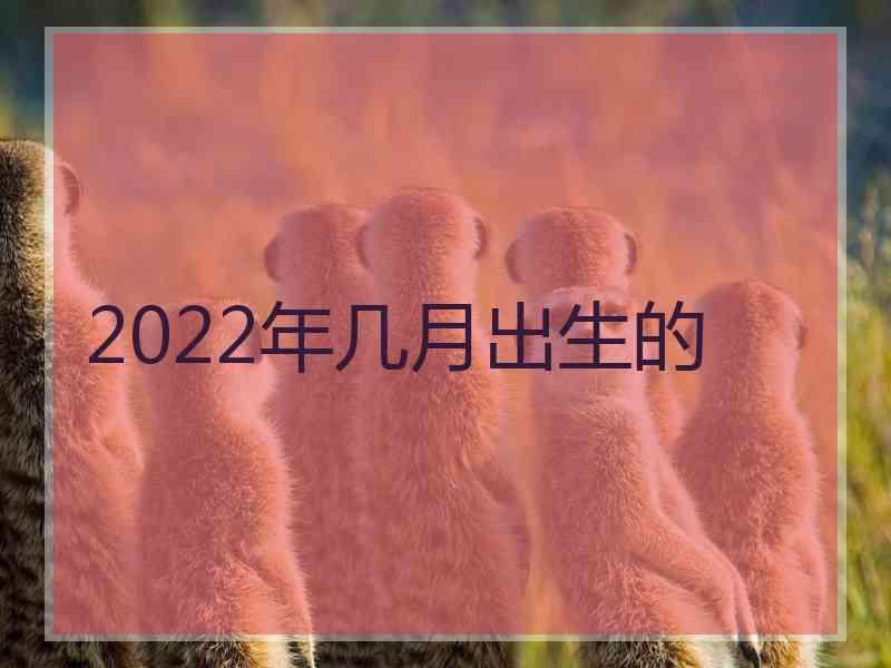 2022年几月出生的