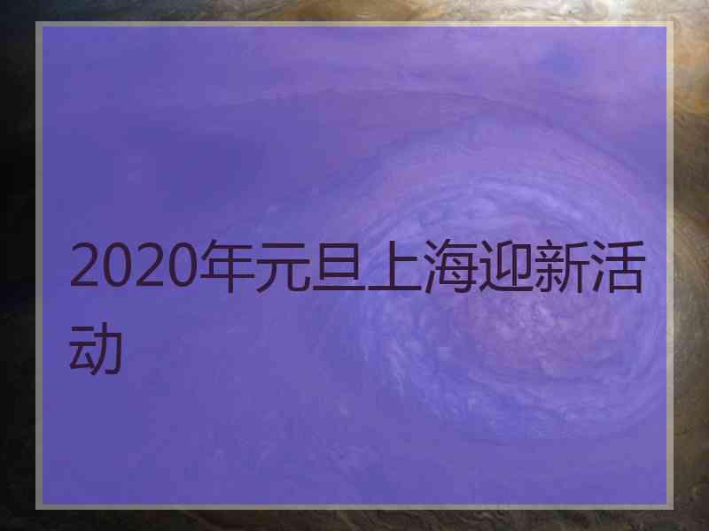 2020年元旦上海迎新活动