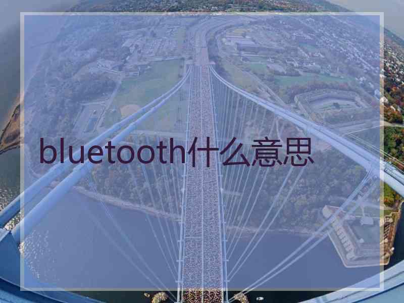 bluetooth什么意思