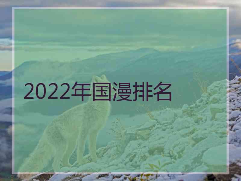 2022年国漫排名