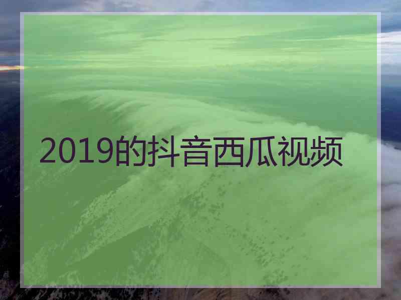 2019的抖音西瓜视频