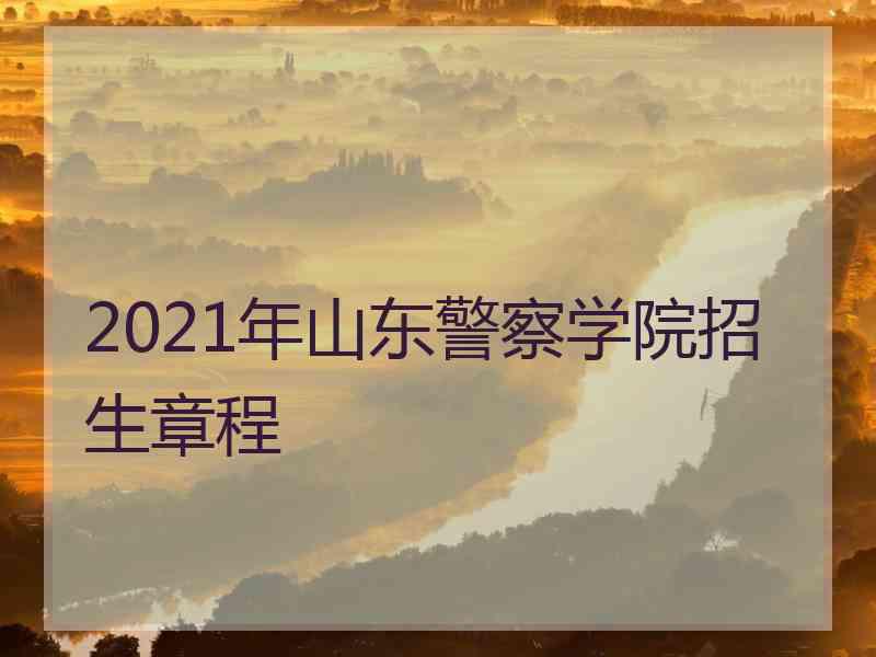 2021年山东警察学院招生章程