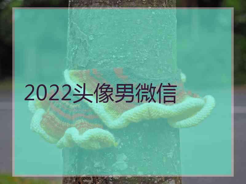 2022头像男微信