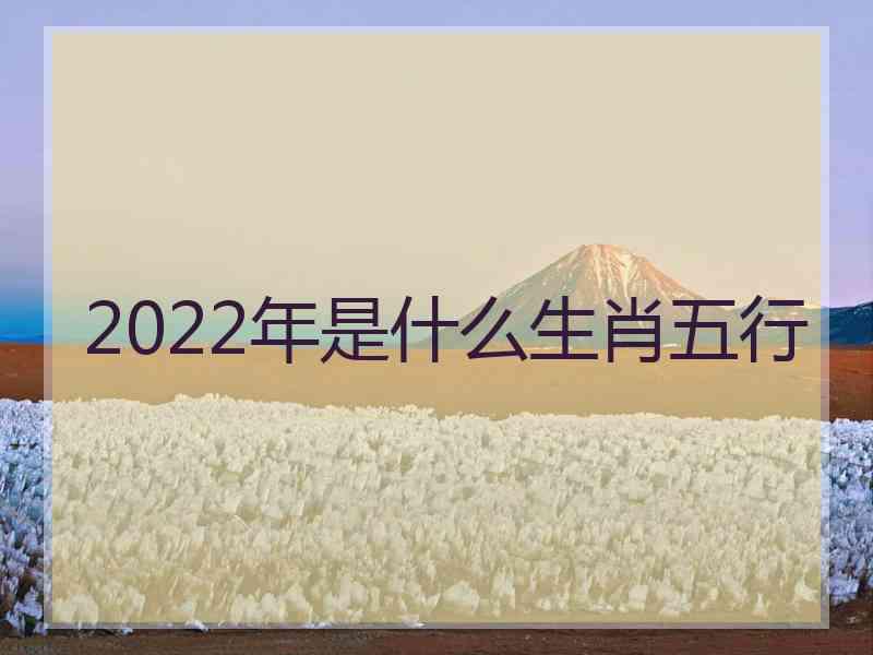 2022年是什么生肖五行