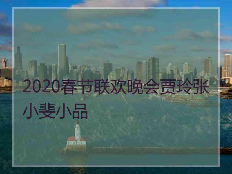 2020春节联欢晚会贾玲张小斐小品