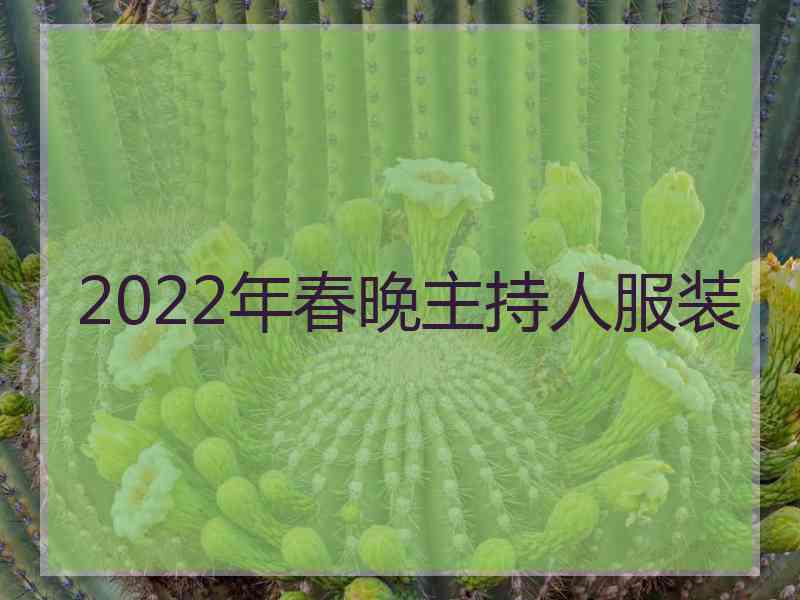 2022年春晚主持人服装