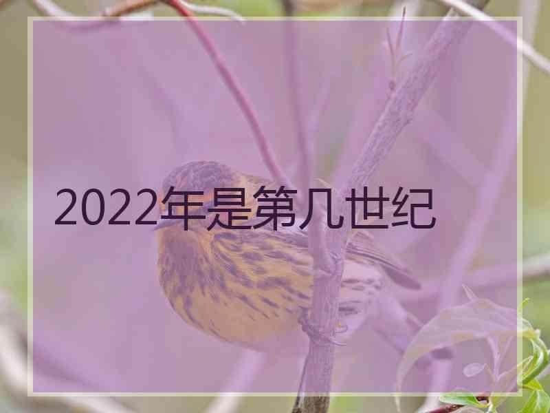 2022年是第几世纪