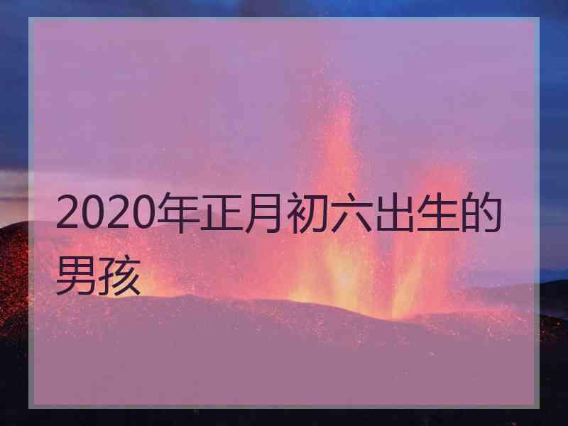 2020年正月初六出生的男孩