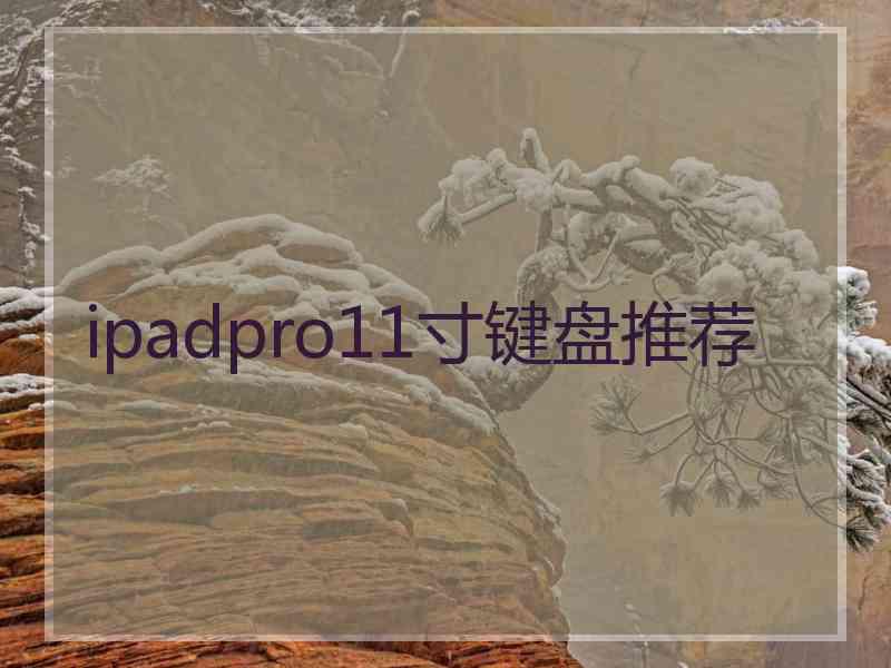 ipadpro11寸键盘推荐