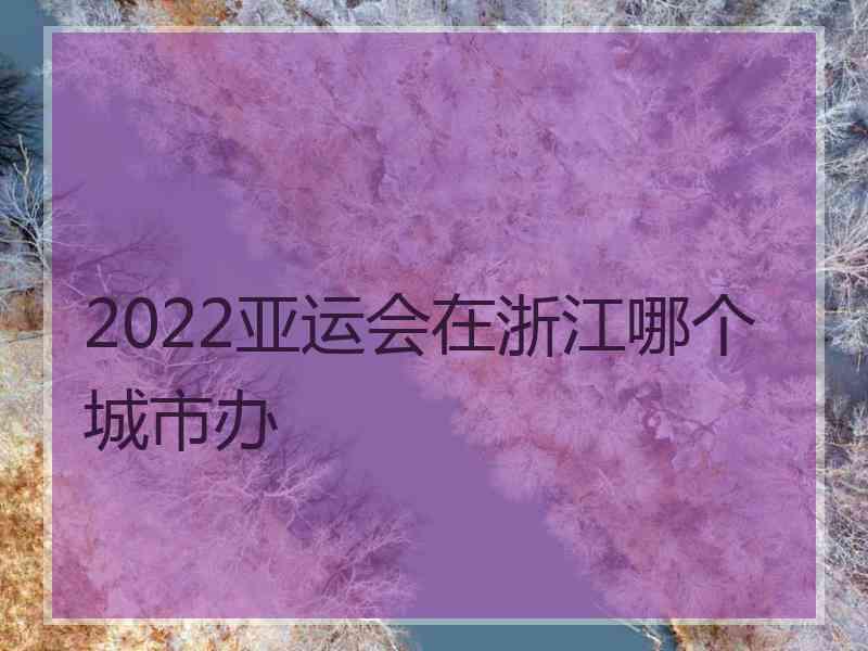 2022亚运会在浙江哪个城市办