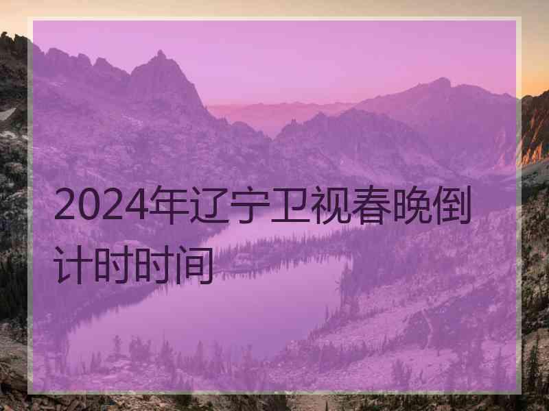 2024年辽宁卫视春晚倒计时时间