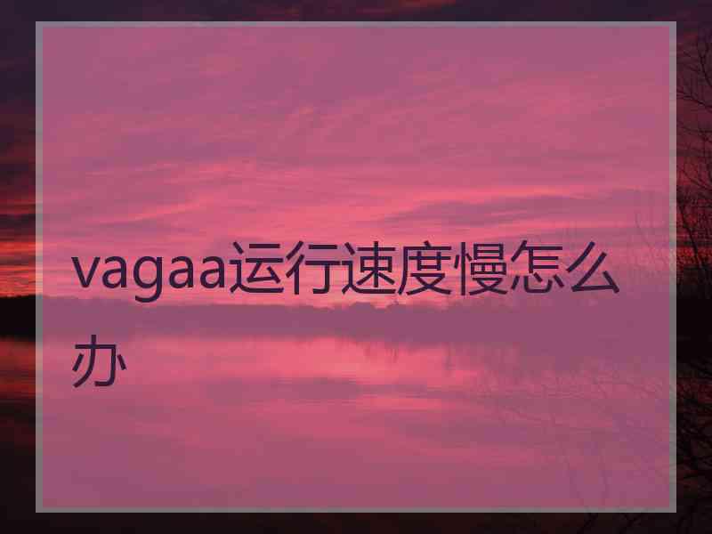 vagaa运行速度慢怎么办