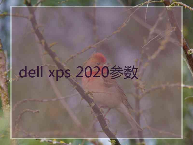 dell xps 2020参数