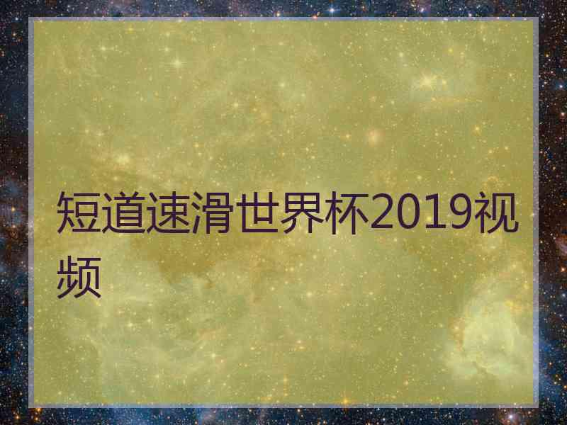 短道速滑世界杯2019视频