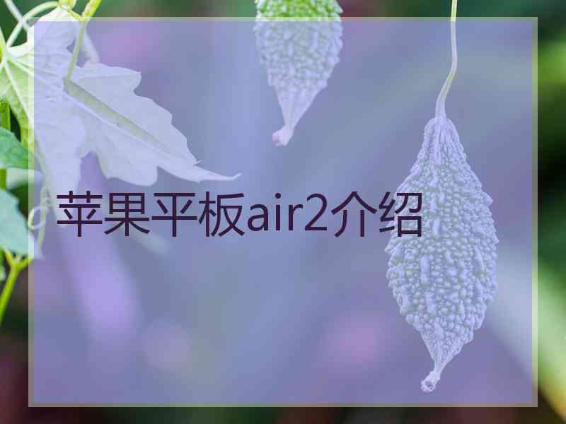 苹果平板air2介绍