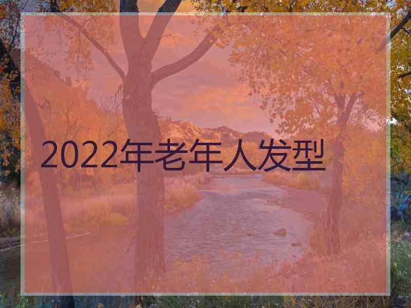 2022年老年人发型