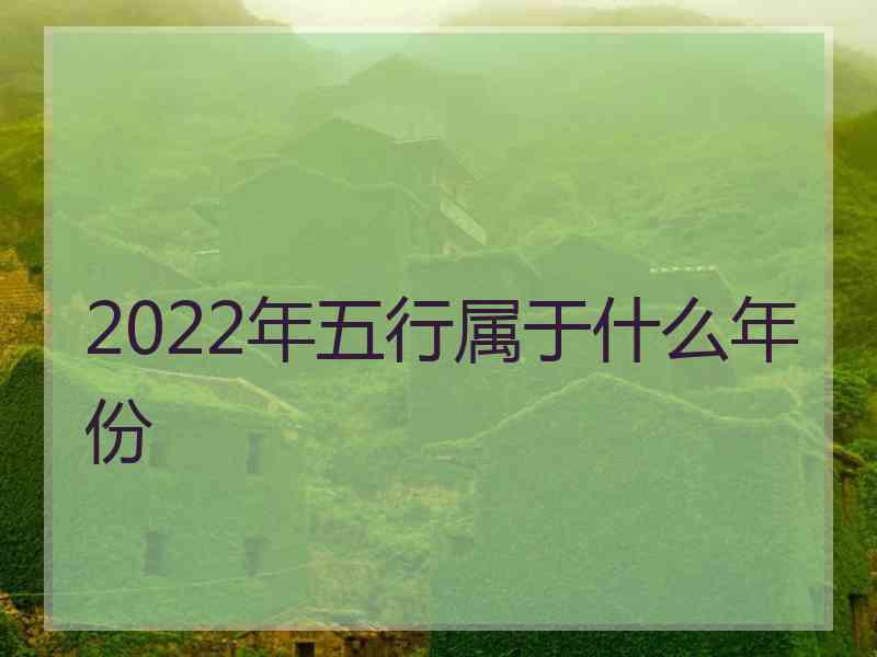 2022年五行属于什么年份