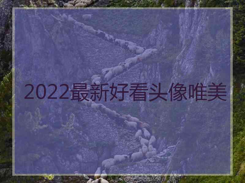 2022最新好看头像唯美