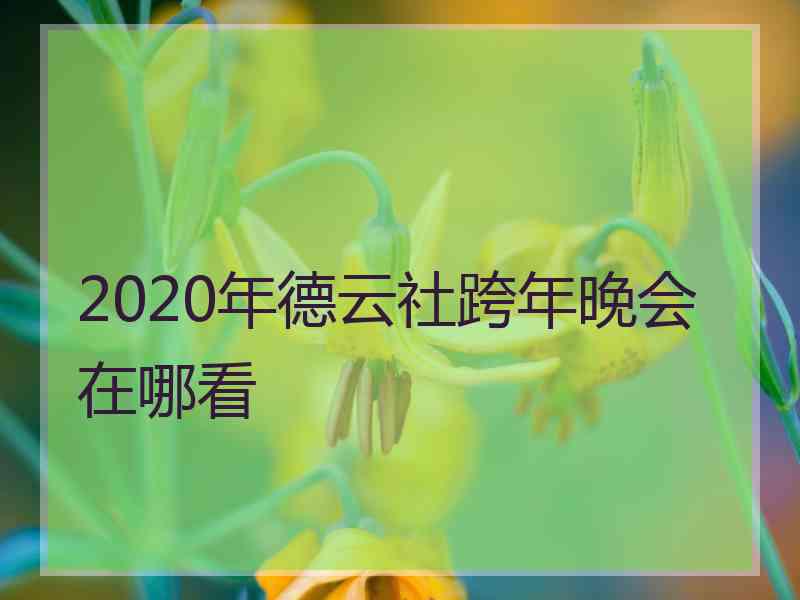 2020年德云社跨年晚会在哪看