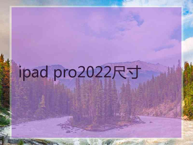 ipad pro2022尺寸