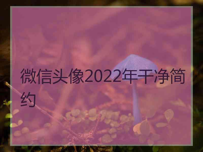 微信头像2022年干净简约