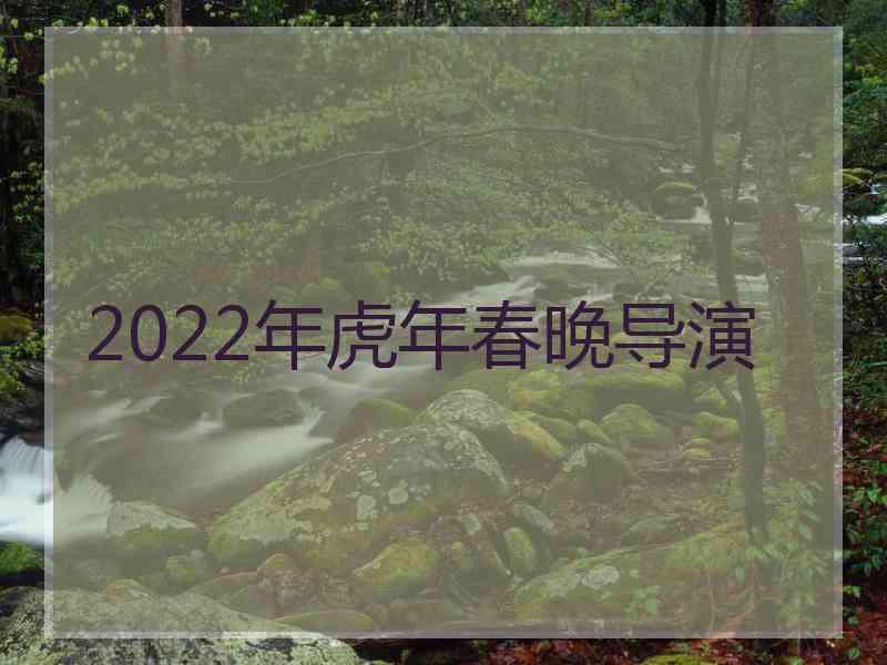 2022年虎年春晚导演