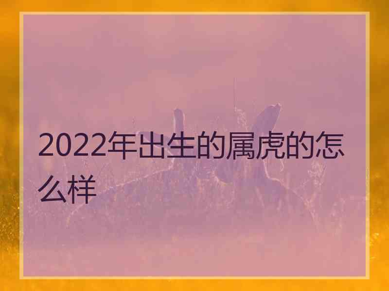 2022年出生的属虎的怎么样