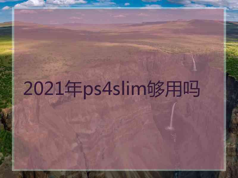 2021年ps4slim够用吗