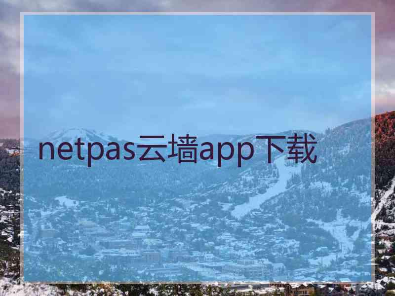 netpas云墙app下载