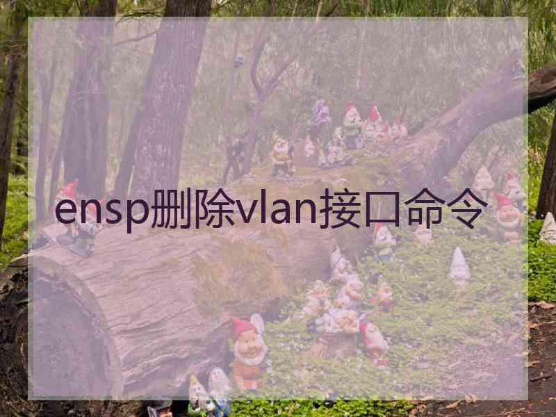 ensp删除vlan接口命令