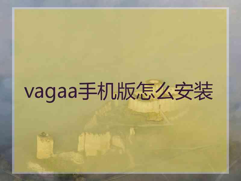 vagaa手机版怎么安装