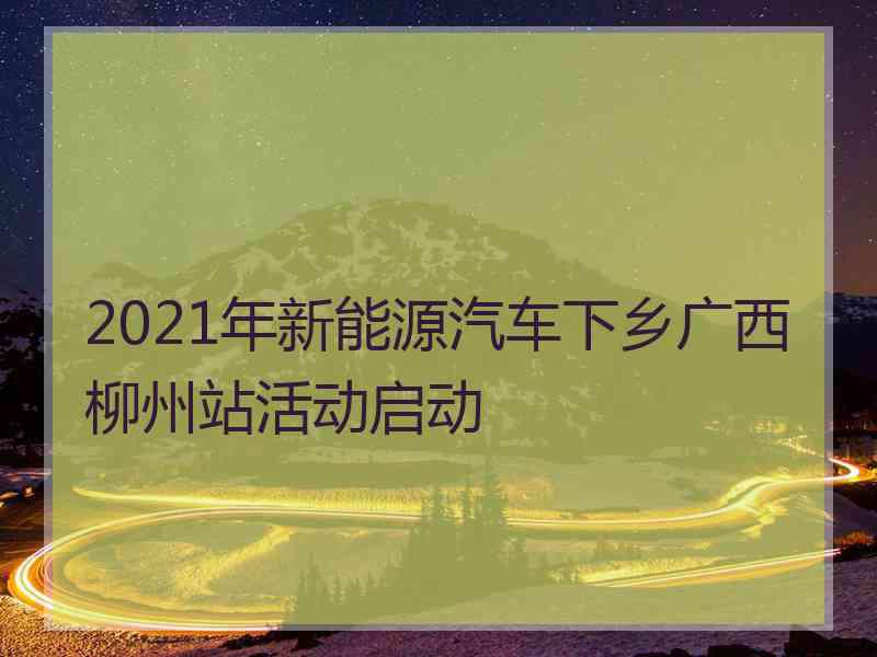 2021年新能源汽车下乡广西柳州站活动启动