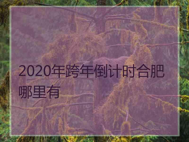 2020年跨年倒计时合肥哪里有