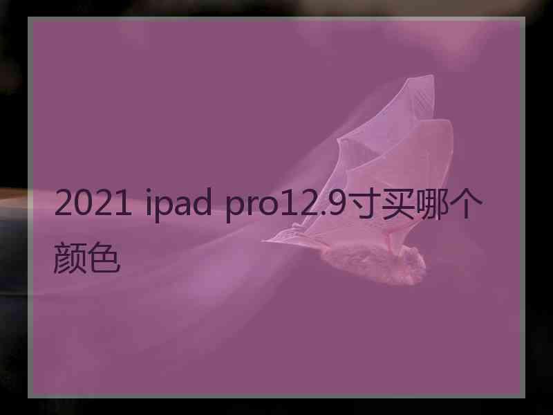 2021 ipad pro12.9寸买哪个颜色