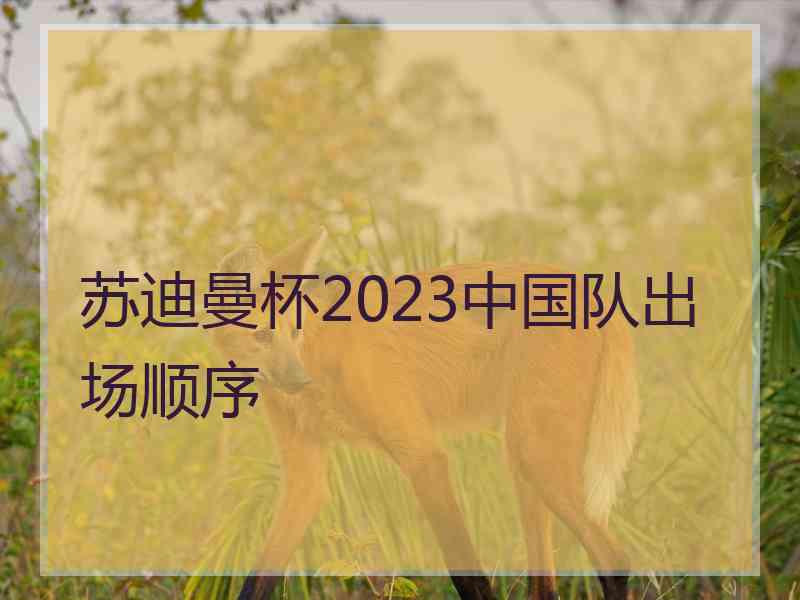 苏迪曼杯2023中国队出场顺序